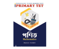 Primary TET Math